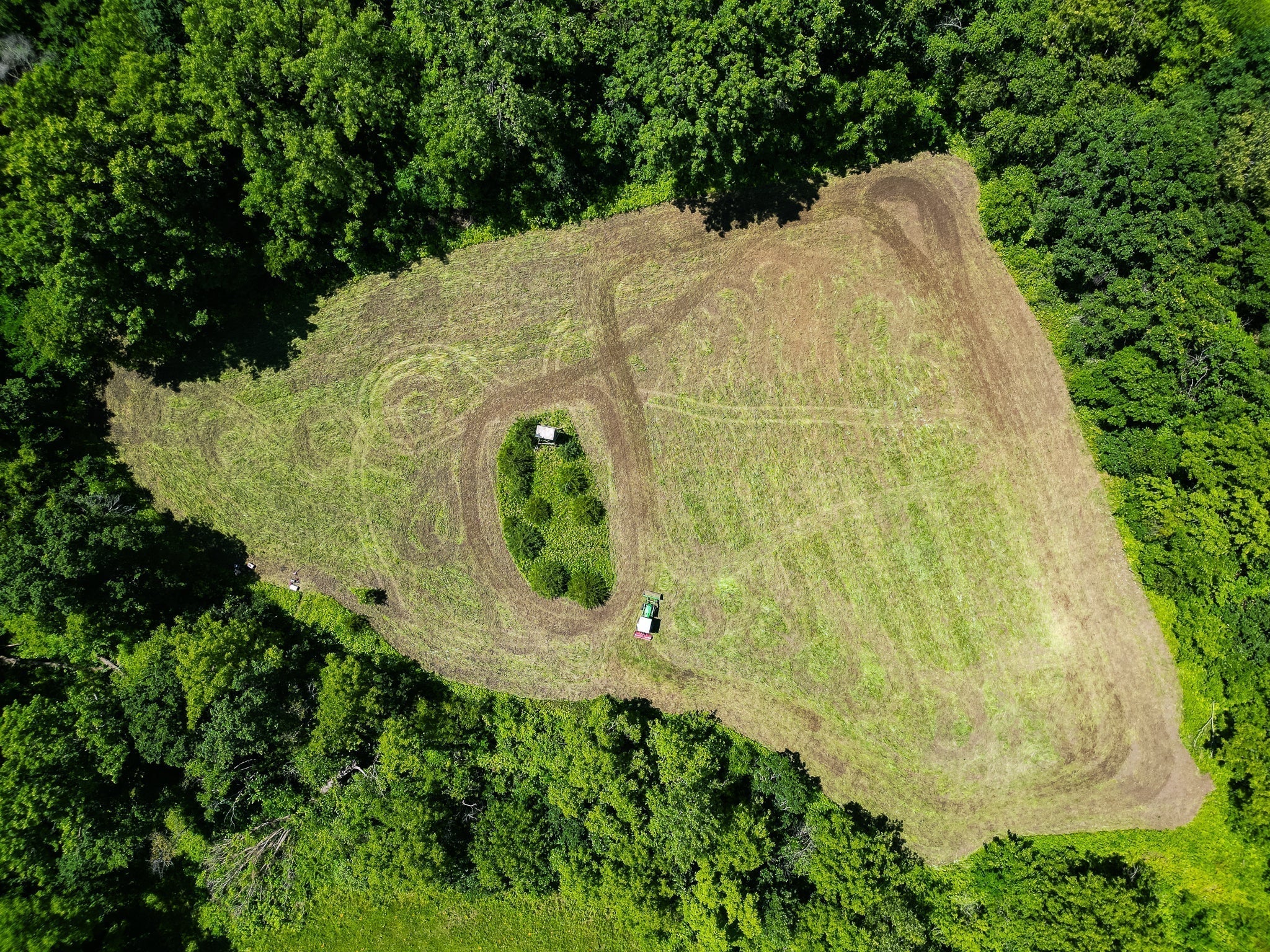 Maximize Your Whitetail Season: Building Better Food Plots with Domain Outdoor